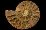 Orange, Crystal Filled, Cut Ammonite Fossil - Jurassic #168535-1